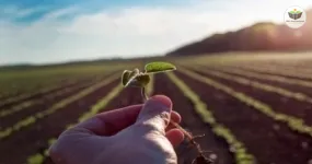 práticas convencionais e sistemas de manejo do solo