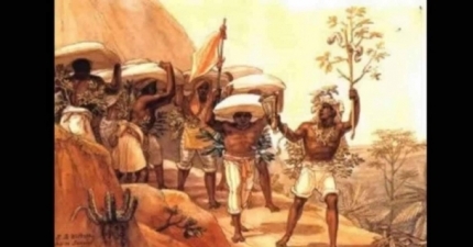 HISTÓRIA DO BRASIL: O IMPÉRIO E O CAFÉ – O GRÃO QUE MUDOU UMA NAÇÃO