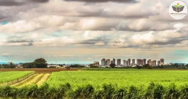 Curso de A Educação Rural no Brasil