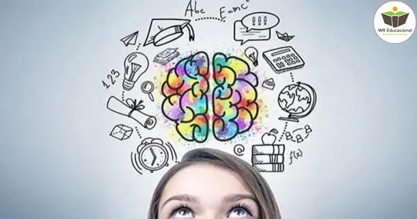 Curso de A Neurociência e o Ensino Aprendizagem