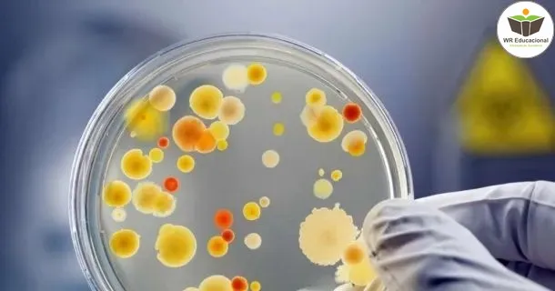 Curso de educação a distância de Microbiologia e Imunologia